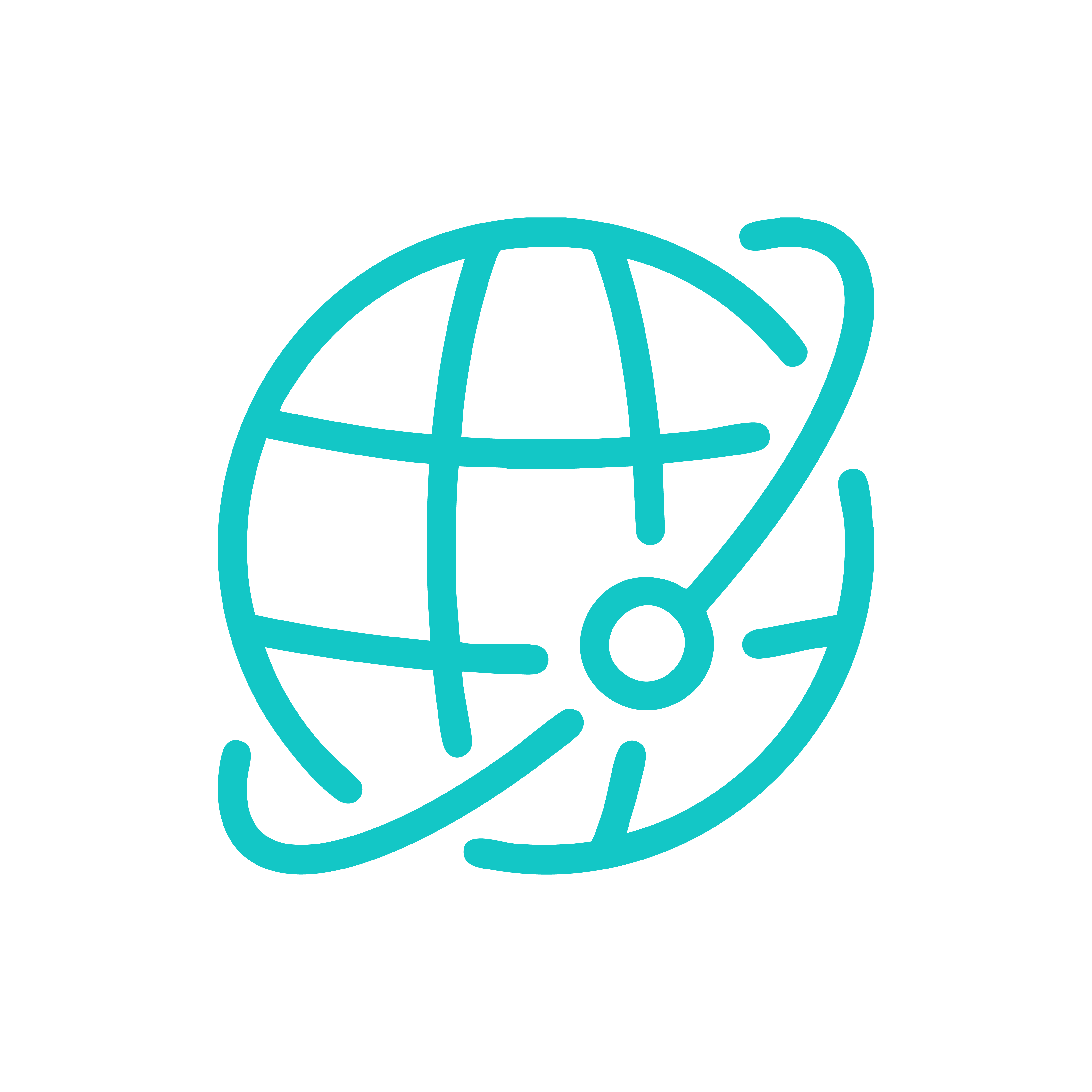 Experience with global companies